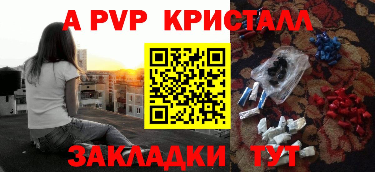 Альфа ПВП СК КРИС Хасавюрт