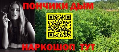 apvp Можайск