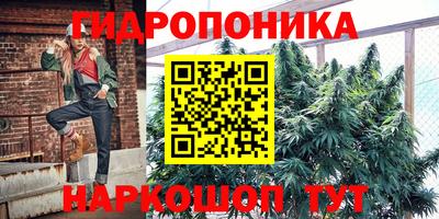 мдма Моздок
