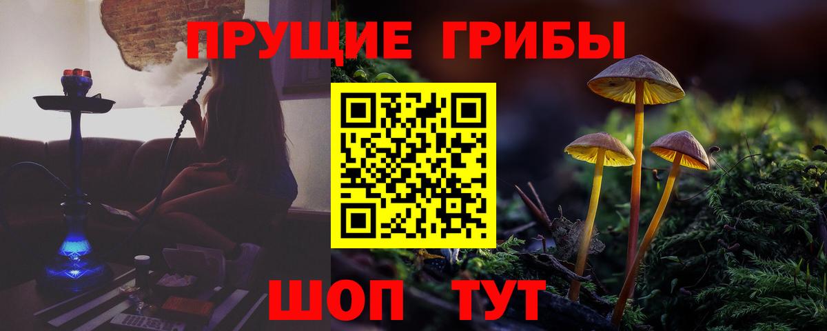 Псилоцибиновые грибы Cubensis  Псилоцибиновые грибы Cubensis  Хасавюрт  Вход с VPN 